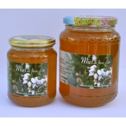 Miel de fleur d'été 2024.